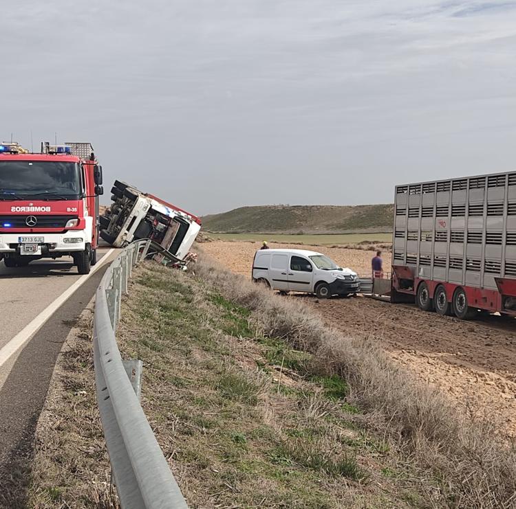 El vuelco de un camión con 612 lechones corta durante horas la LR-289 en Alfaro