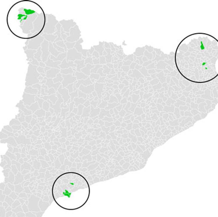 Los diez municipios de Cataluña que más han votado a Vox