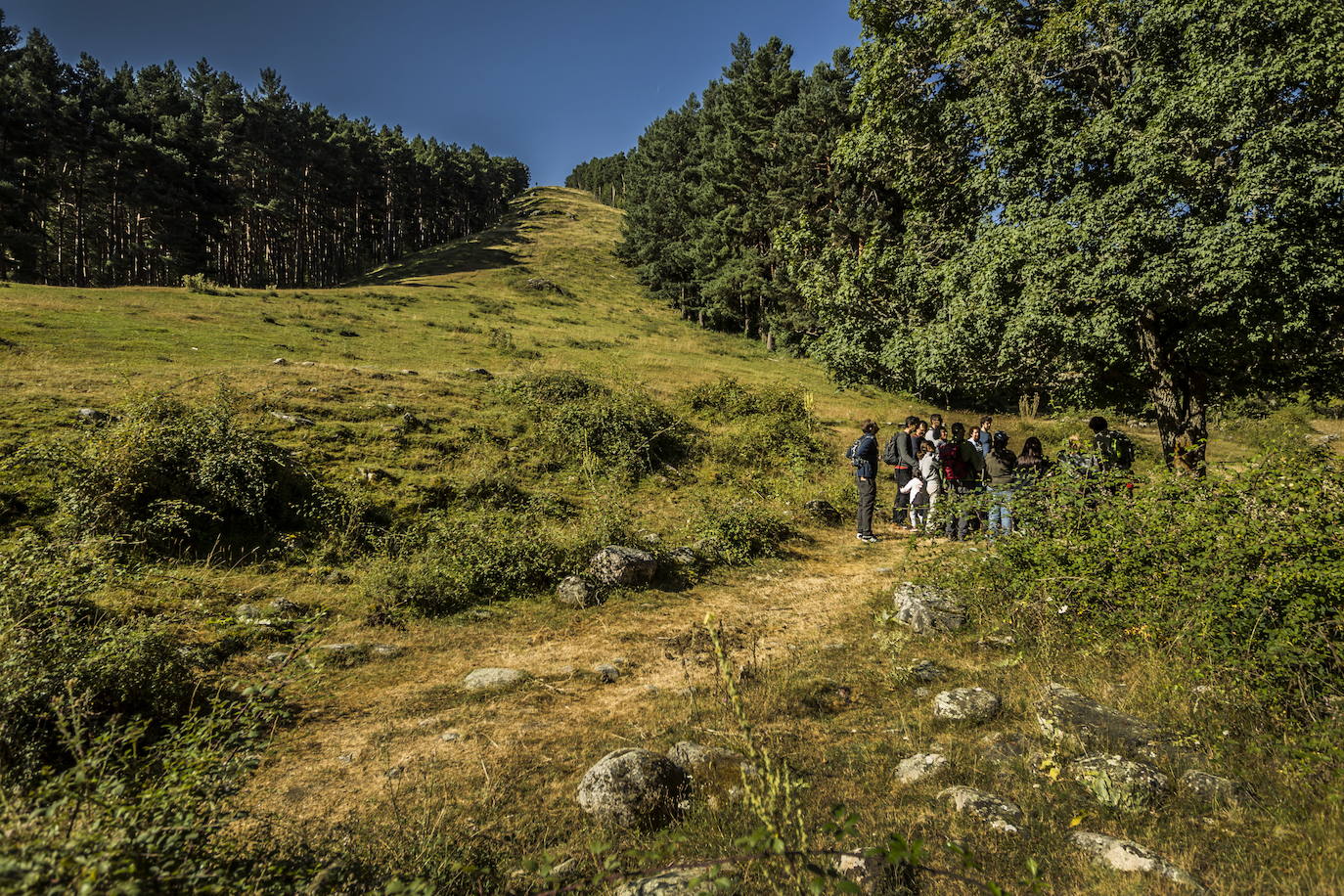 Reapertura de los centros de interpretación de la naturaleza