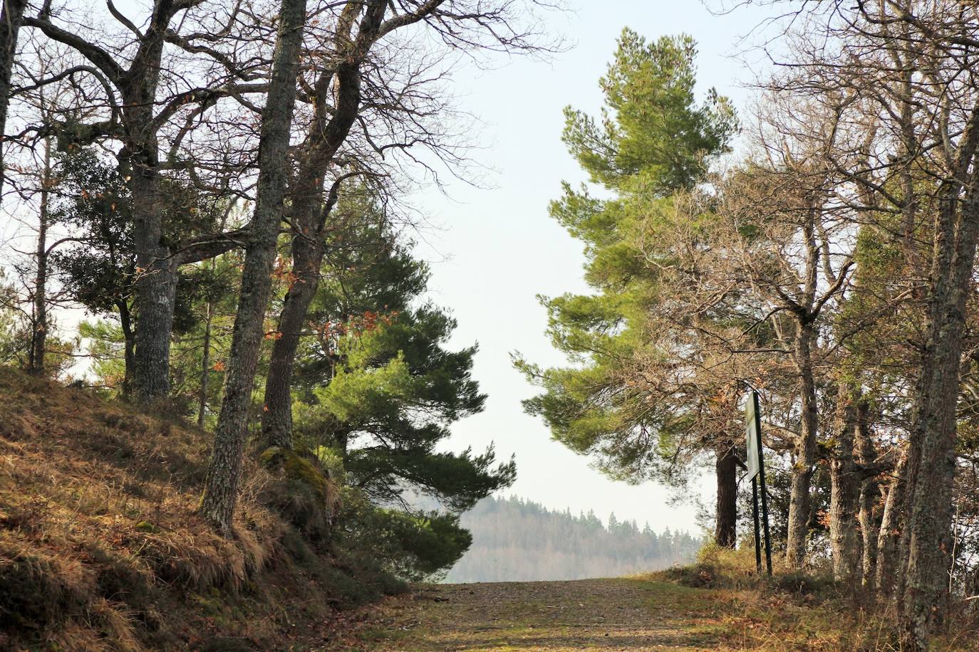 Un paseo por Ribavellosa