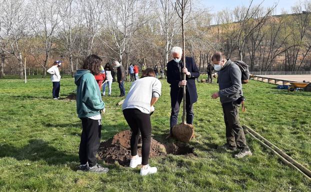 Nueva plantación de árboles en Logroño realizada por el alcalde y estudiantes de Bachillerto