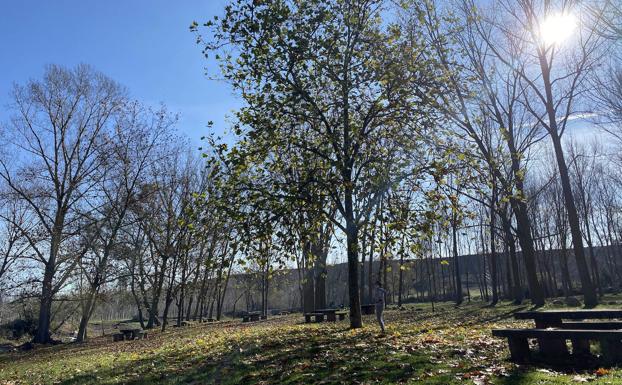 La recogida de residuos en el río Tirón se aplaza a primavera