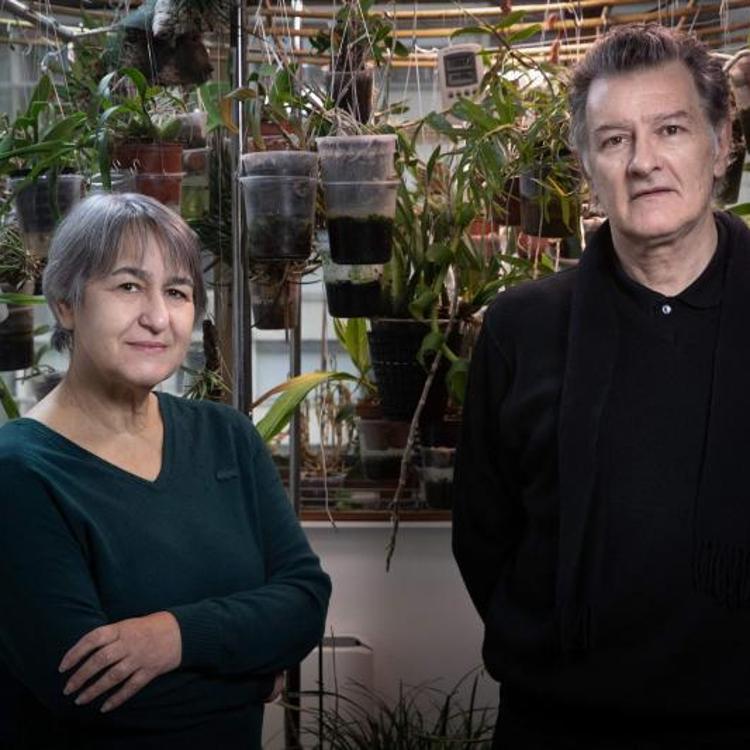 Anne Lacaton y Jean-Philippe Vassal ganan el Pritzker