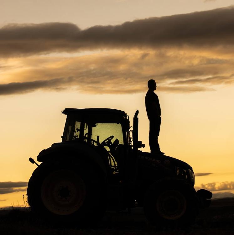 Los agricultores tendrán ayudas anti-COVID si alegan pérdidas en 2020 o 2021