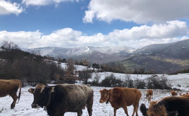 La primavera llega con nieve y hielo a La Rioja