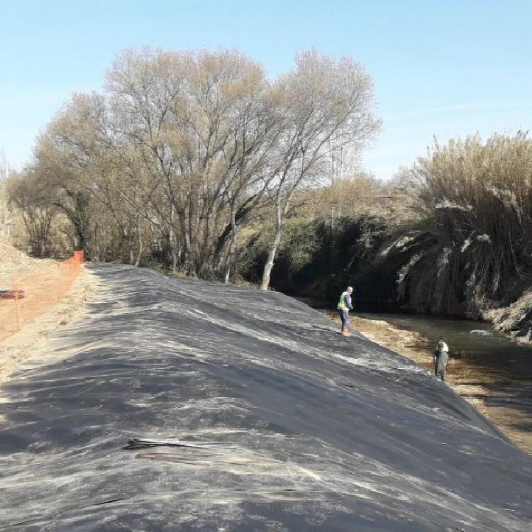 El río Alhama se libera de las cañas invasoras en Alfaro