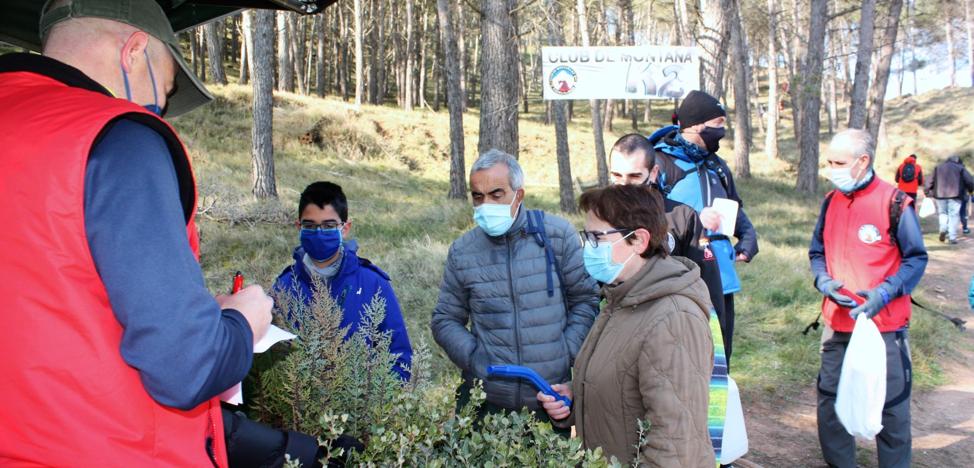 Plantados 324 árboles en Nájera