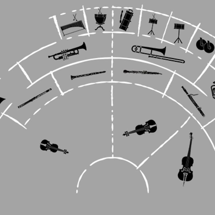 ¿Cómo se organiza una orquesta sinfónica?