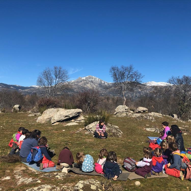 Bosquescuela, un colegio en la naturaleza