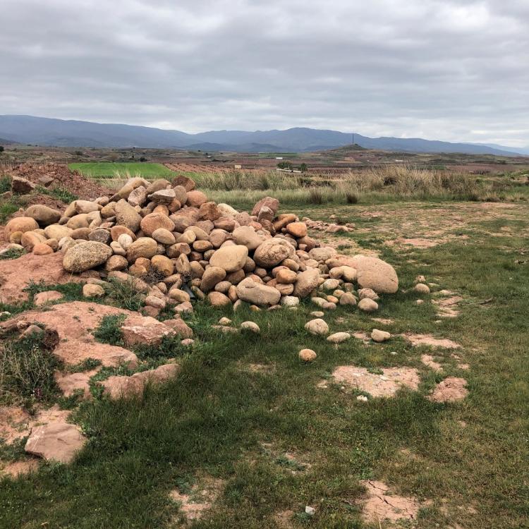 Denuncia por delito ecológico en la laguna de Huércanos