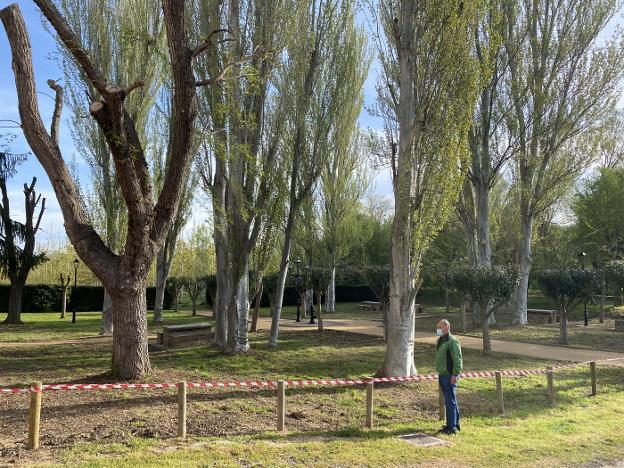 Casalarreina saca brillo a su zona verde