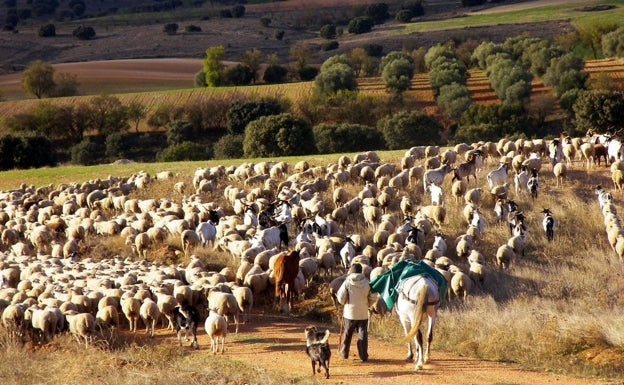 Caminos de la biodiversidad