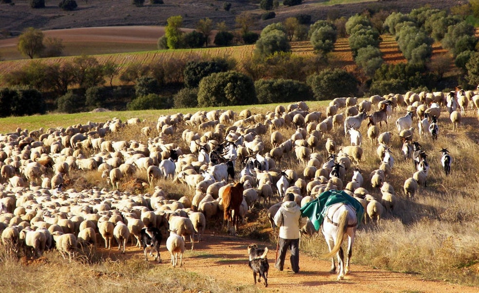 Caminos de la biodiversidad