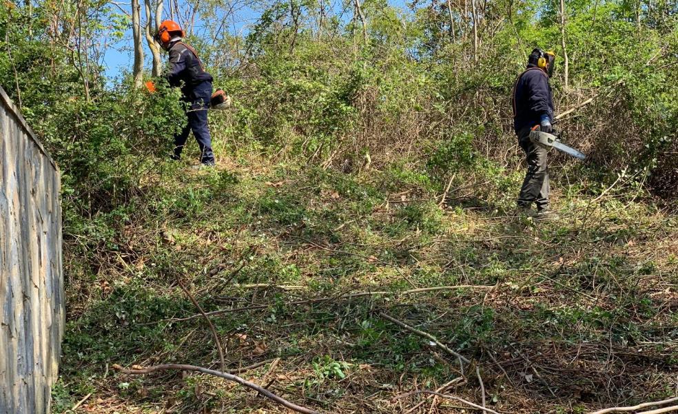 El Ayuntamiento calceatense limpia y mejora el canal viejo