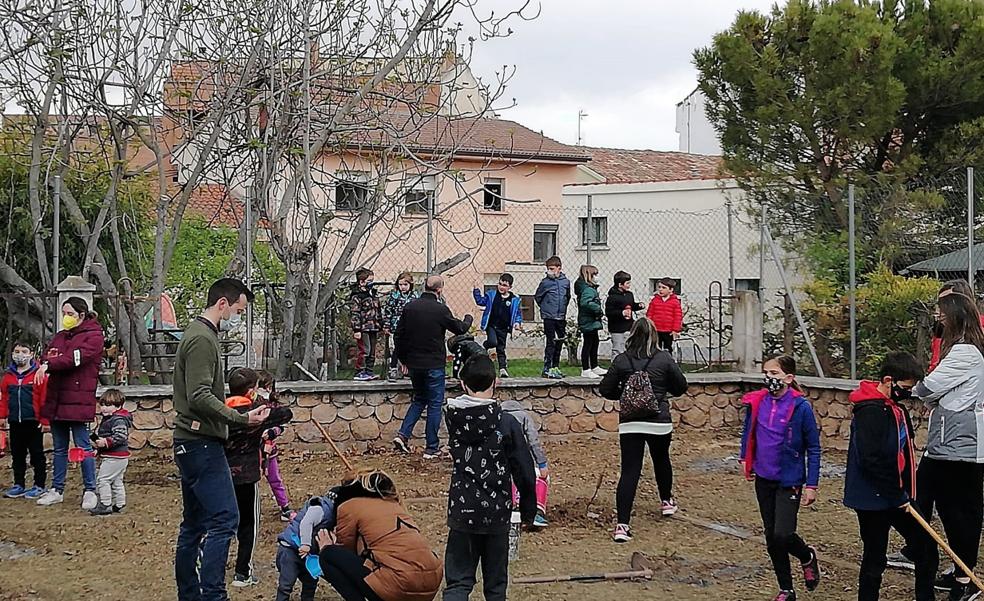 Plantación de árboles en Huércanos por parte de escolares