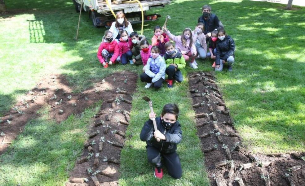 Plantación escolar en La Cometa