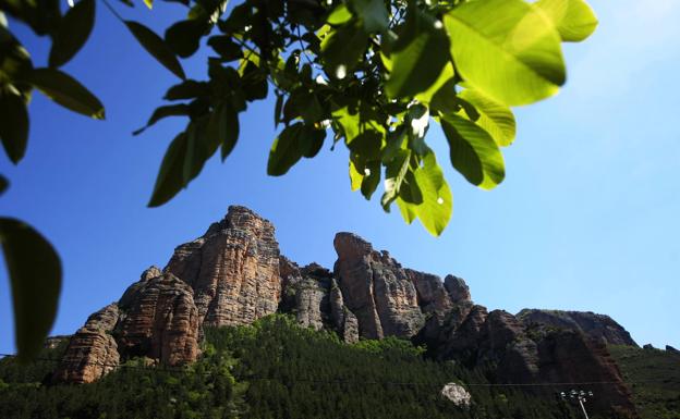 Una mujer es trasladada al San Pedro tras dañarse el tobillo en una excursión por Viguera