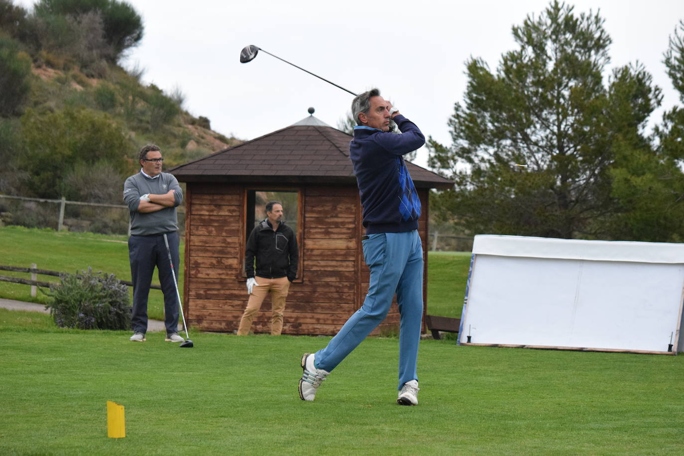 Torneo Viña ijalba (juego)