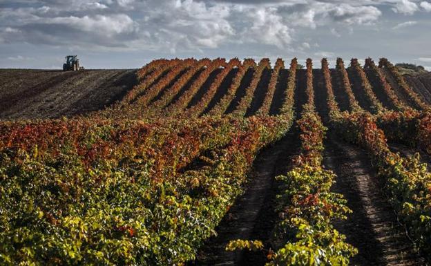 Navarra Suma insta al Gobierno foral a «rechazar la división de la DOC Rioja»