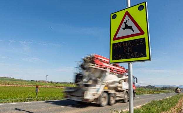 Se pone en marcha un proyecto de pasos para fauna silvestre para prevenir accidentes en la LR-113