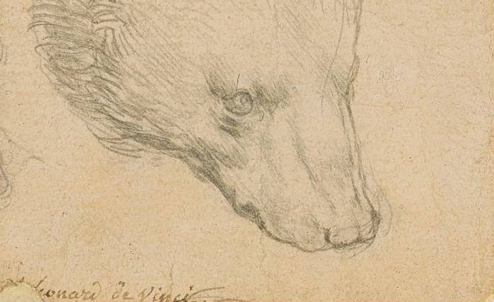 A subasta 'Cabeza de oso', uno de los dibujos de Leonardo da Vinci