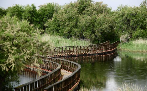 Se abren pozos de emergencia para Las Tablas de Daimiel