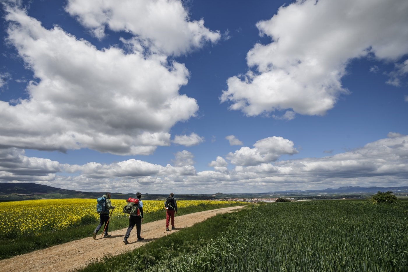 Por el Camino de los caminos