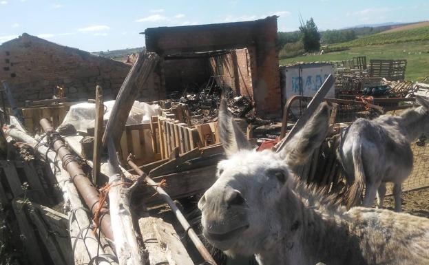 Un incendio daña el «santuario de los burros» de Villamediana