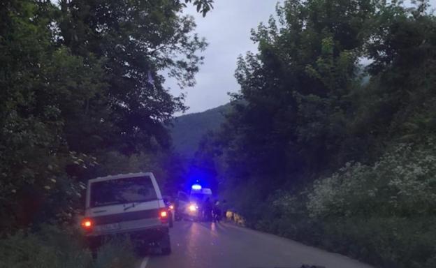 Grave ataque de un oso a una mujer de 75 años en Asturias