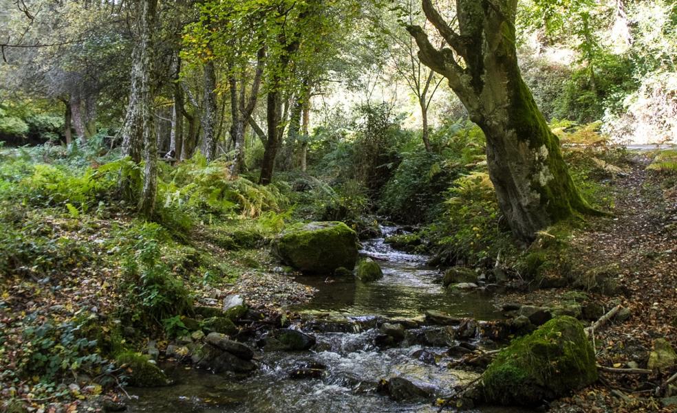 El medioambiente riojano se debate entre el sol y el viento