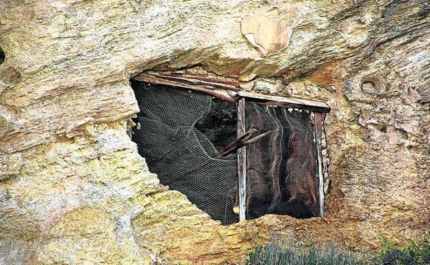 El palacio, cuatro meses después