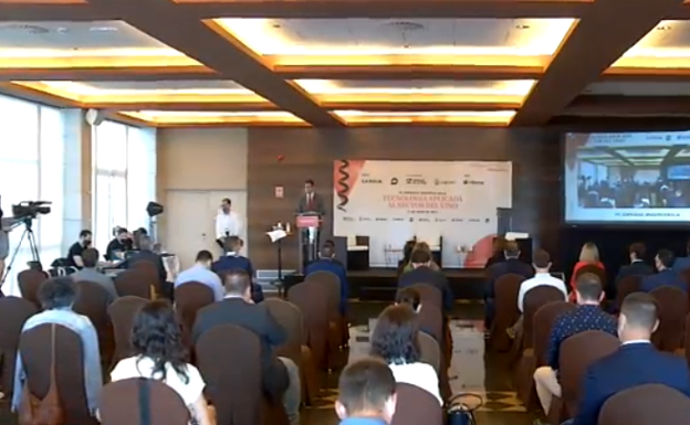 La forma del vino: tradición, paciencia y tecnología