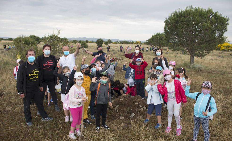 El club Sampol y el CEIP Hermosilla plantan cerca de 200 encinas en la ribera del Oja