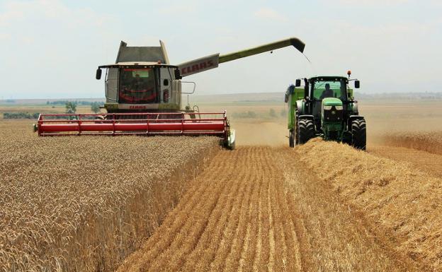 La cosecha de cereal arranca en La Rioja «con optimismo» en calidad, precios y producción, según ARAG-Asaja