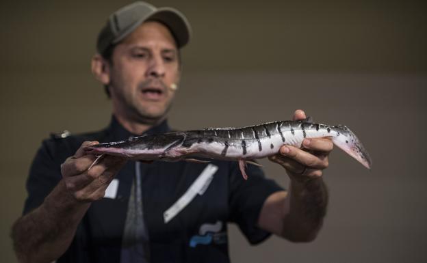 El futuro de los mares se cocina en los fogones