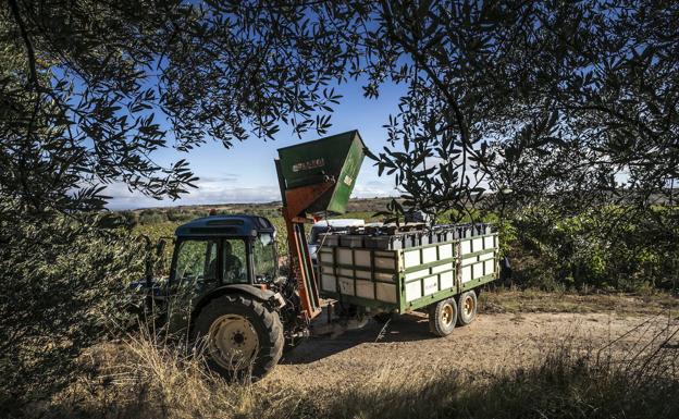 Los agricultores riojanos recelan de la nueva PAC