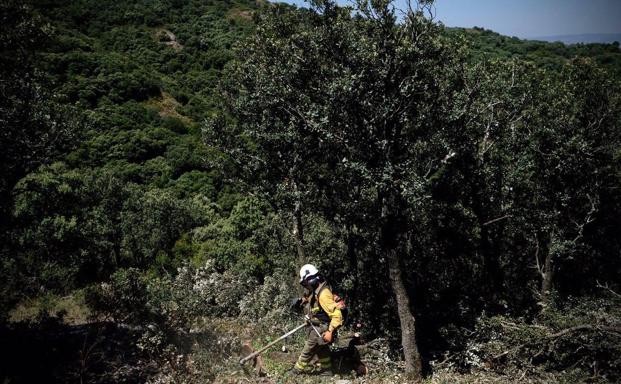 El incendio de Yerga sigue perimetrado y controlado pero no se da aún por extinguido