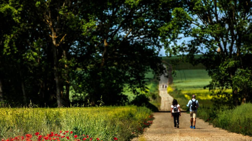 Tercera etapa del Camino de Santiago: de Santo Domingo a Grañón