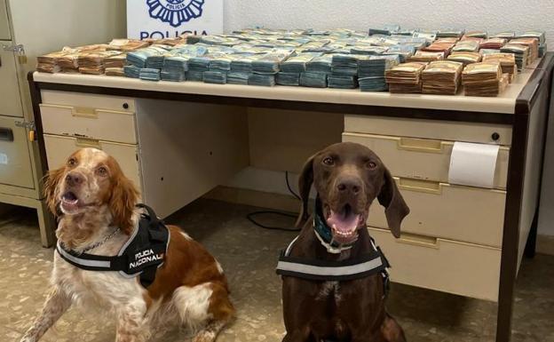 Dos perros policía detectan un millón de euros en un maletero