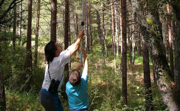 Un proyecto para construir refugios para aves y anfibios en La Grajera