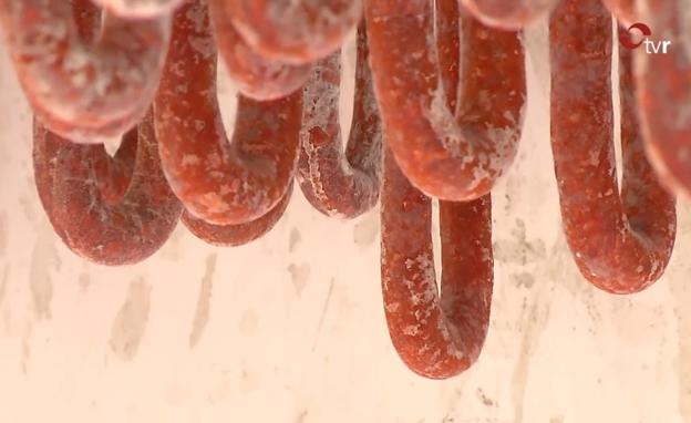 Embutidos con aire camerano