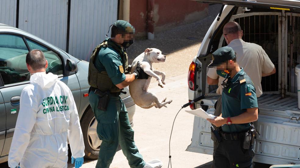 Detenido un hombre por la desaparición del joven de Entrena, mientras continúa su búsqueda