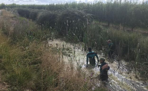 Sigue la búsqueda del joven de Entrena por Sierra de Moncalvillo, Valle del Iregua, Río Iregua, toda la comarca de Entrena y localidades limítrofes