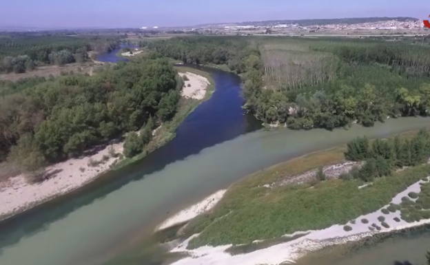 Los Sotos de Alfaro: un singular ecosistema de bosques y aves a orillas del río