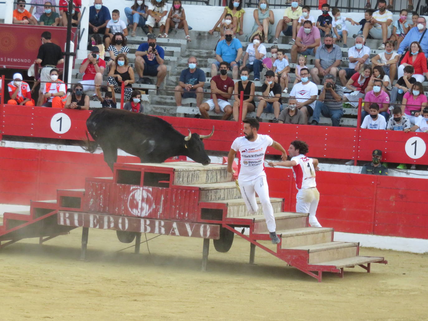 La exhibición de bravura de las reses de Arriazu en la plaza de toros de Alfaro