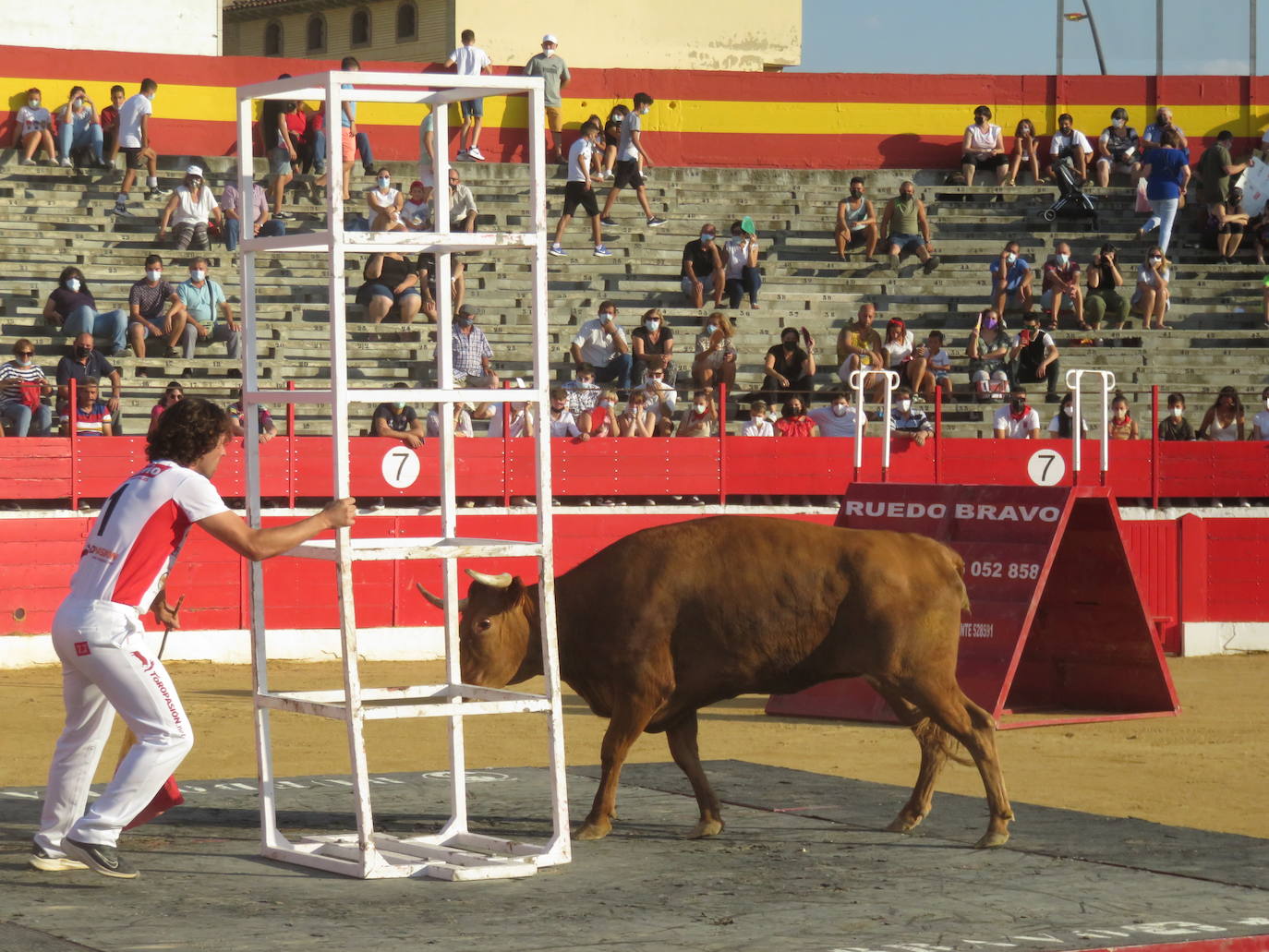 La exhibición de bravura de las reses de Arriazu en la plaza de toros de Alfaro