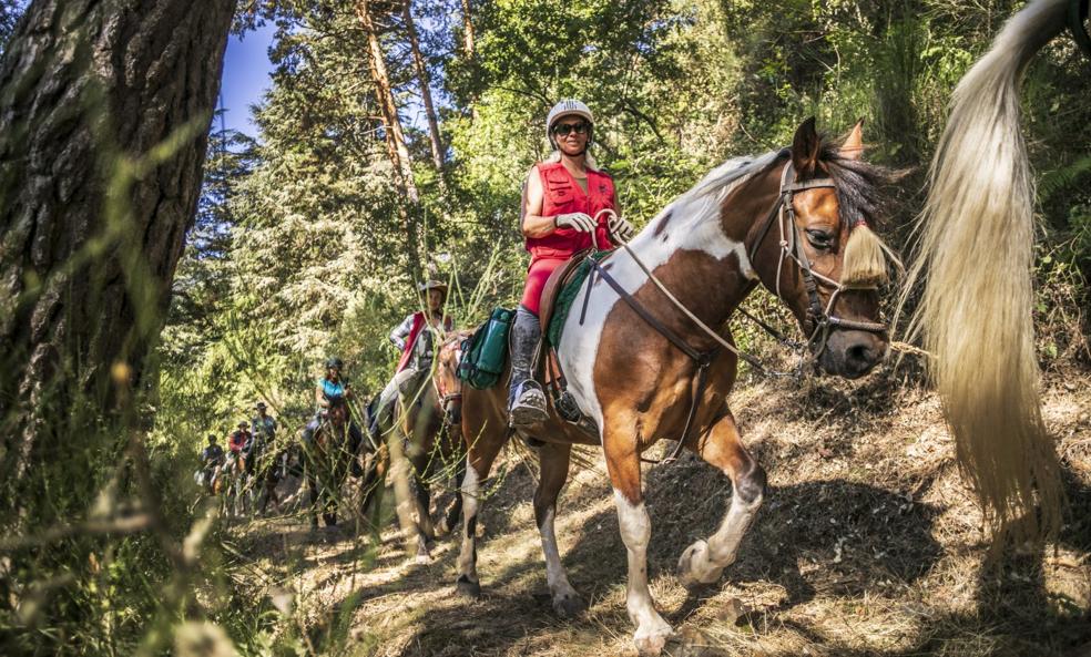 Un tesoro por descubrir a lomos de un caballo