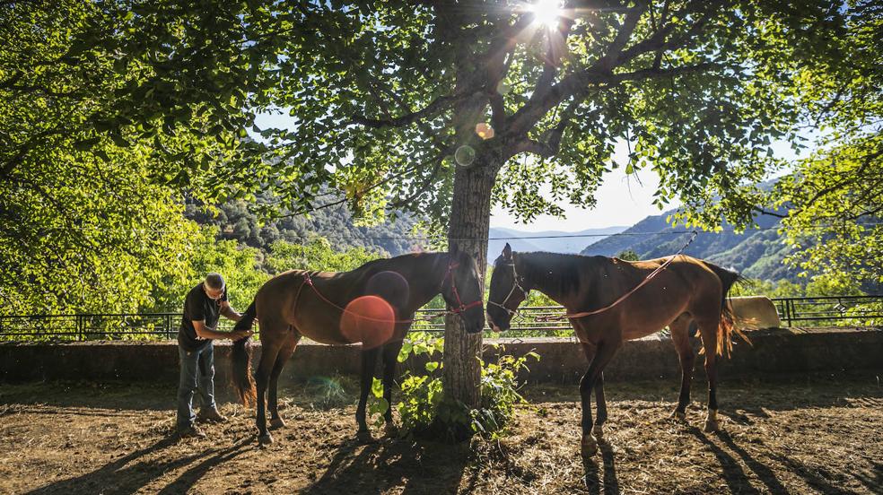 Un tesoro por descubrir a lomos de un caballo