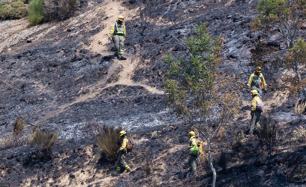 La naturaleza empieza de cero en Ezcaray