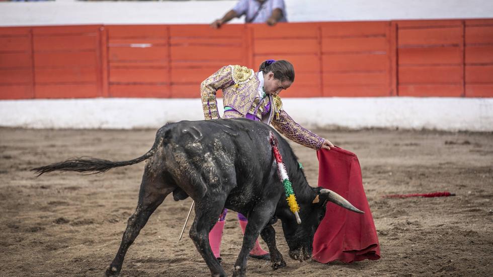 Tarde de orejas en Aldeanueva de Ebro